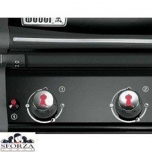 Foto WEBER SPIRIT ORIGINAL E 210