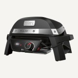 Weber Pulse 2000