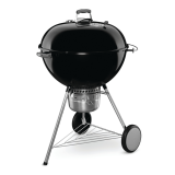 Weber master touch gbs